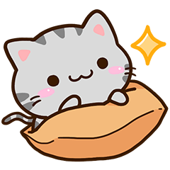 小さいアメショ３