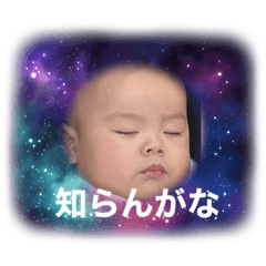 ひーくんコレクション①