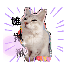 johnny_20210603223635