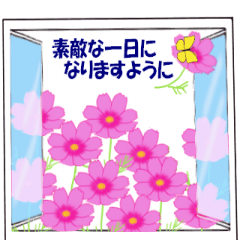 海と虹とコスモス