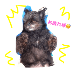 ライフスタイルlove1