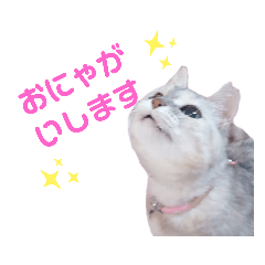 ミラクルみるちゃん