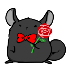 チンチラの小明神２