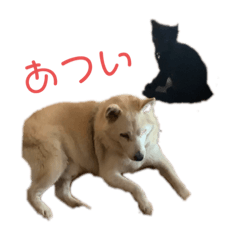 ポチ＆タイムそのいち