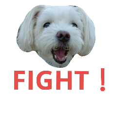 ちっぷの気持ち2