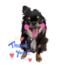 りんちゃんとそらくんの日常スタンプ2