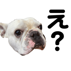 フレブルらむねは今日もダルい