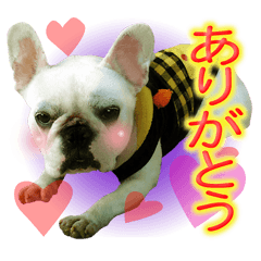 フレブルれりちゃん