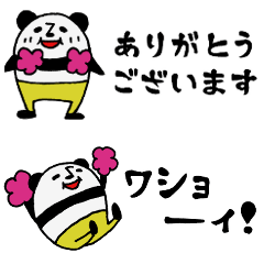 チアパンダー 2〔省スペース〕