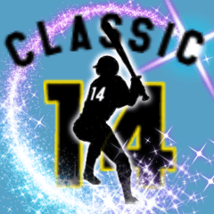 SHADOW PLAYER CLASSIC No.14