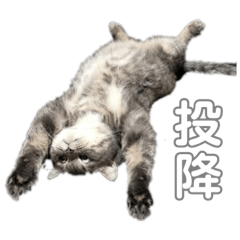 Asher_20211031164054