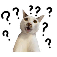 Yuchi_20211209130349