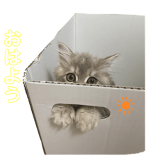 lily's stamp - 挨拶