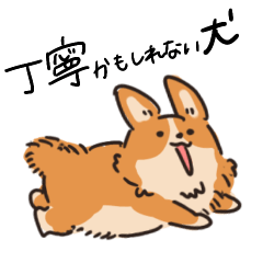 丁寧かもしれない犬