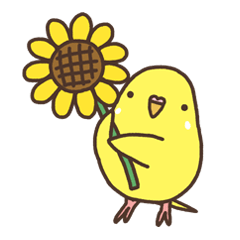 夏もインコといっしょ