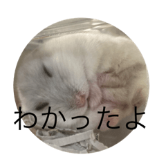 お餅の気持ち。くらし。