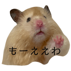 関西出身やさぐれハムスター