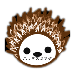 ハリネズミやぞ
