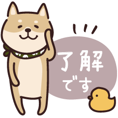 しば犬♡優しい言葉
