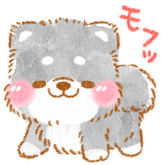 黒柴❤️冬の思いやり❤️いやしばいぬ