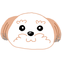 色々犬種♡【小型犬】