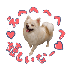 渡和くんのスタンプ