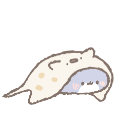 Chubby Shark - Amazing Marine Life