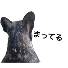 あんこっこスタンプ