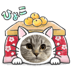 マンチカンのちぇろ③