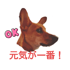 レーベンっ子のおしゃべり１