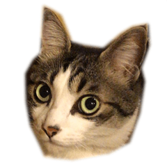 すねみぞエース3