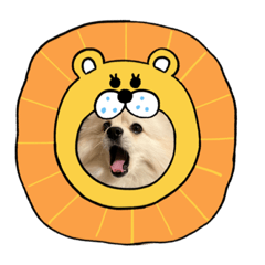 2022 2023 あきふゆはる