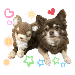 ダイヤとゆかいな仲間たち♥️