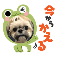 ラテとキャラメル2