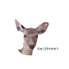 動物スタンプその１鹿さんたち