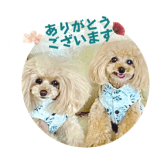 クーちゃんズのきゅんキュンcute♡