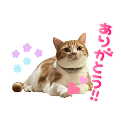 ちゃりスタンプ３