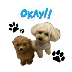 まるめるちゃん