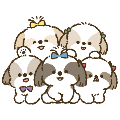 まるまるシーズーちゃんず