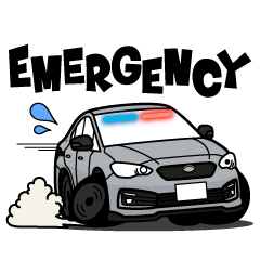 大好き！ジェントルAWDセダン(2022's)