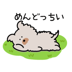 ボサボサペッパーはのんびりや