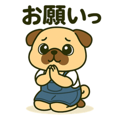 ころころなフォーンパグさん＊日常編＊