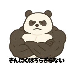 マッチョパンダの日常スタンプ