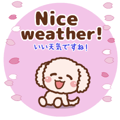 ❤️うごく！春のトーク♡プードル[ 英&和 ]