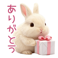 まんまるうさぎ♡感謝ともちもち日常