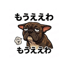 ニヒルなフレブル(ブリンドル)の日常