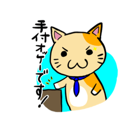 不動産屋のブチ猫2