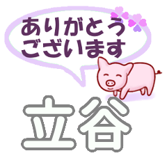 立谷「たちや」さん専用。日常会話