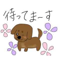 文字入りダックスフント