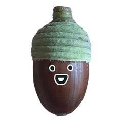 どんぐり と 顔